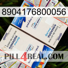 8904176800056 kamagra1